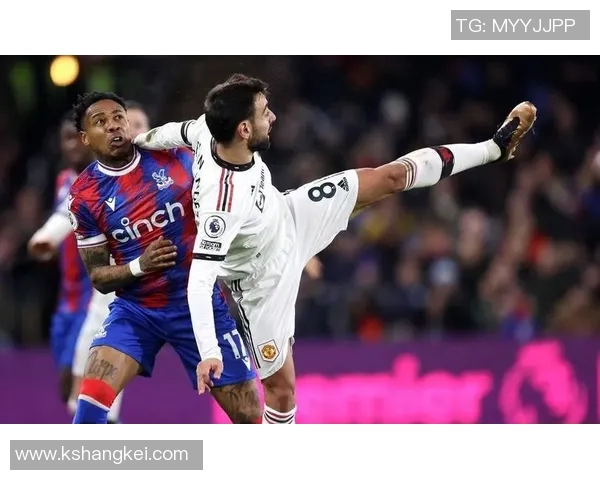 普罗夫对阵马里迪莫精彩对决分析与赛前预测