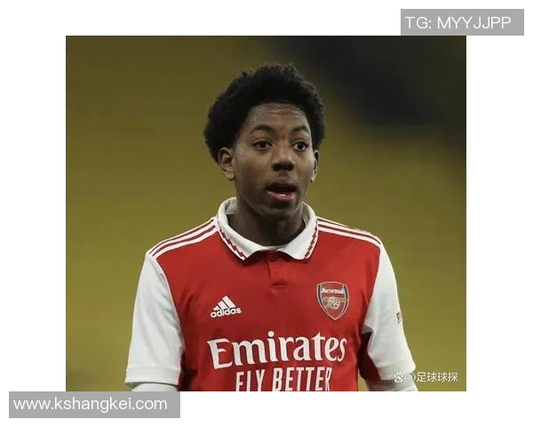 裁判承认误判道歉阿森纳有效进球被取消引发热议